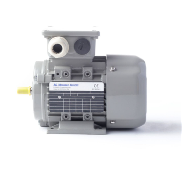 德國AC MOTOREN三相異步雙速電機(jī)AC16M2400001